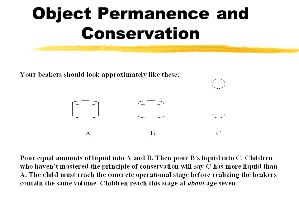 Developmental Psychology Unit Chapter 10 pages ppt video online download